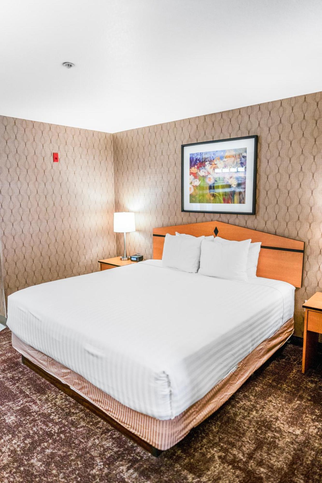 Crystal Inn Hotel & Suites - West Valley City Dış mekan fotoğraf